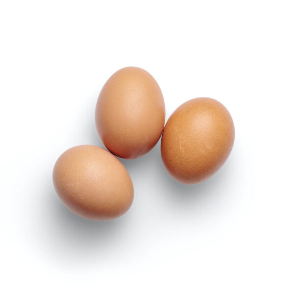 Farm Fresh Eggs 1 Dozen